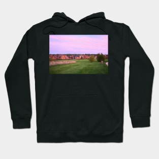 Dog walking and golden sunset on the hill Hoodie